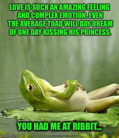 Daydream | LOVE IS SUCH AN AMAZING FEELING AND COMPLEX EMOTION. EVEN THE AVERAGE TOAD WILL DAY DREAM OF ONE DAY KISSING HIS PRINCESS. YOU HAD ME AT RIBBIT... | image tagged in love,most interesting frog in the world,frogs,horny toad,memes | made w/ Imgflip meme maker