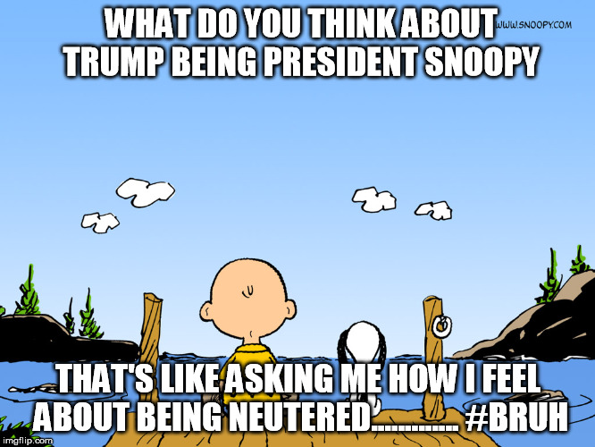 Charlie brown  | WHAT DO YOU THINK ABOUT TRUMP BEING PRESIDENT SNOOPY; THAT'S LIKE ASKING ME HOW I FEEL ABOUT BEING NEUTERED............. #BRUH | image tagged in charlie brown | made w/ Imgflip meme maker