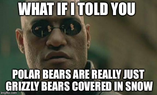 Matrix Morpheus | WHAT IF I TOLD YOU; POLAR BEARS ARE REALLY JUST GRIZZLY BEARS COVERED IN SNOW | image tagged in memes,matrix morpheus | made w/ Imgflip meme maker