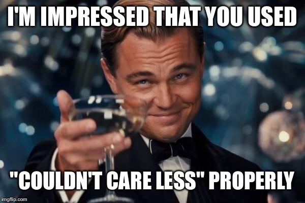 Leonardo Dicaprio Cheers Meme | I'M IMPRESSED THAT YOU USED "COULDN'T CARE LESS" PROPERLY | image tagged in memes,leonardo dicaprio cheers | made w/ Imgflip meme maker