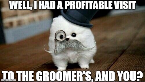 Sophisticated Dog | WELL, I HAD A PROFITABLE VISIT TO THE GROOMER'S, AND YOU? | image tagged in sophisticated dog | made w/ Imgflip meme maker