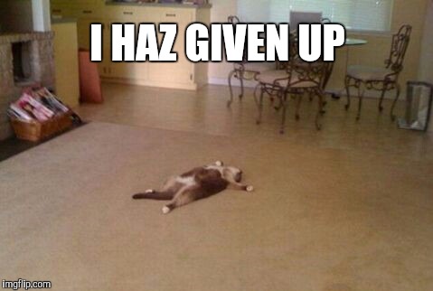 I HAZ GIVEN UP | image tagged in cats | made w/ Imgflip meme maker