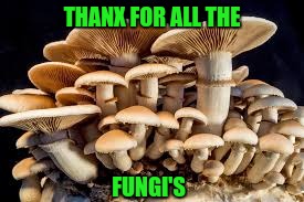 THANX FOR ALL THE FUNGI'S | made w/ Imgflip meme maker
