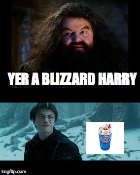 Yer a blizzard harry | YER A BLIZZARD HARRY | image tagged in harry potter,blizzard,hagrid,you're an x harry,memes | made w/ Imgflip meme maker
