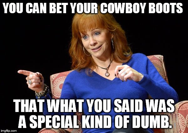 You Can Bet Your Cowboy Boots | YOU CAN BET YOUR COWBOY BOOTS; THAT WHAT YOU SAID WAS A SPECIAL KIND OF DUMB. | image tagged in reba mcentire,memes,comical,country music | made w/ Imgflip meme maker