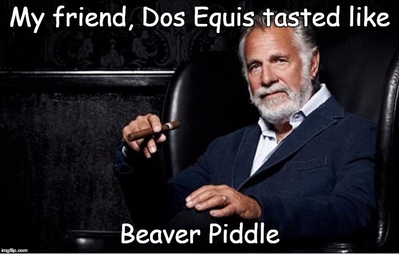 My friend, Dos Equis tasted like Beaver Piddle | made w/ Imgflip meme maker
