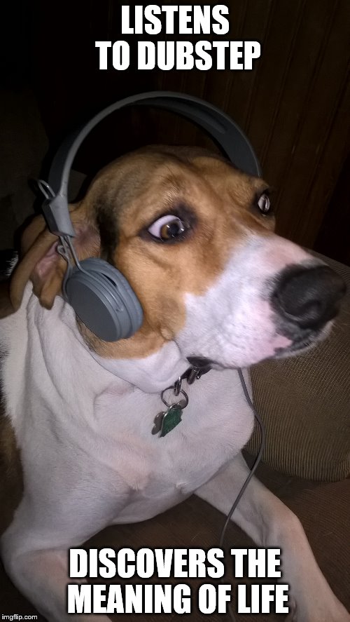 Dubstep Hound | LISTENS TO DUBSTEP; DISCOVERS THE MEANING OF LIFE | image tagged in dubstep,hound | made w/ Imgflip meme maker