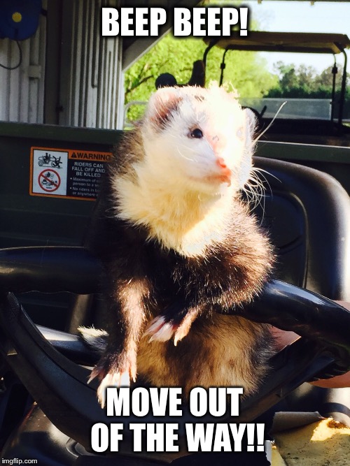 BEEP BEEP! MOVE OUT OF THE WAY!! | image tagged in jd | made w/ Imgflip meme maker