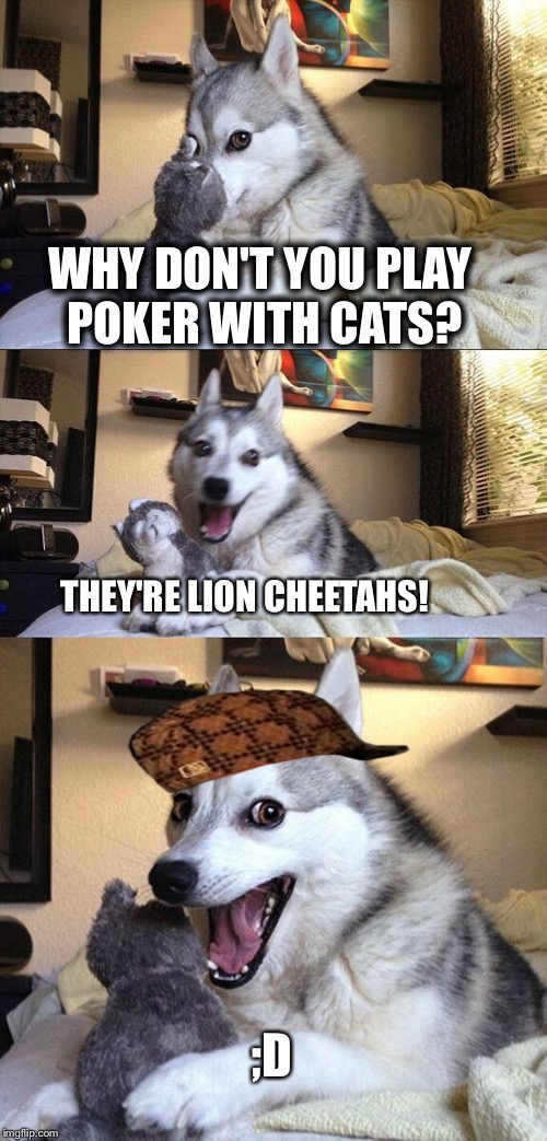 Bad Pun Dog Meme | WHY DON'T YOU PLAY POKER WITH CATS? THEY'RE LION CHEETAHS! ;D | image tagged in memes,bad pun dog,scumbag | made w/ Imgflip meme maker