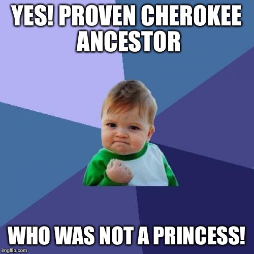 Success Kid Meme | YES! PROVEN CHEROKEE ANCESTOR WHO WAS NOT A PRINCESS! | image tagged in memes,success kid | made w/ Imgflip meme maker