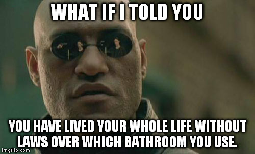 Matrix Morpheus | WHAT IF I TOLD YOU; YOU HAVE LIVED YOUR WHOLE LIFE WITHOUT LAWS OVER WHICH BATHROOM YOU USE. | image tagged in memes,matrix morpheus | made w/ Imgflip meme maker