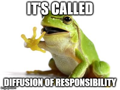 How 'bout no frog | IT'S CALLED DIFFUSION OF RESPONSIBILITY | image tagged in how 'bout no frog | made w/ Imgflip meme maker
