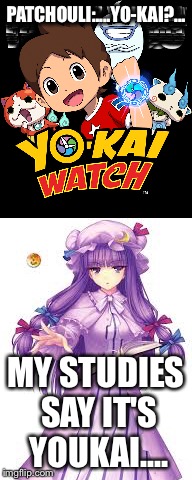 What is this...yo-Kai?... | PATCHOULI:....YO-KAI?... MY STUDIES SAY IT'S YOUKAI.... | image tagged in touhou,yo-kai watch | made w/ Imgflip meme maker