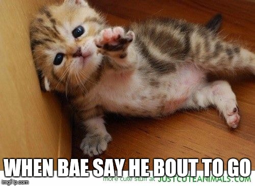 Weekend NOOOO! Come back. Come back!  | WHEN BAE SAY HE BOUT TO GO | image tagged in weekend noooo come back come back | made w/ Imgflip meme maker