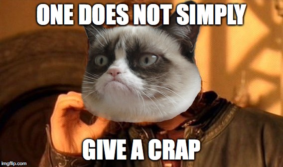 One Does Not Simply Meme | ONE DOES NOT SIMPLY; GIVE A CRAP | image tagged in memes,one does not simply | made w/ Imgflip meme maker