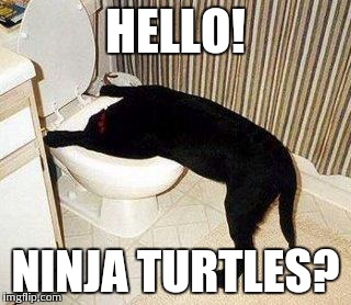 Sick Puppy | HELLO! NINJA TURTLES? | image tagged in sick puppy | made w/ Imgflip meme maker