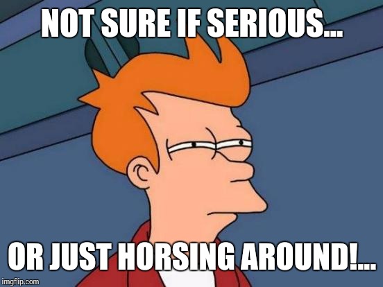 Futurama Fry Meme | NOT SURE IF SERIOUS... OR JUST HORSING AROUND!... | image tagged in memes,futurama fry | made w/ Imgflip meme maker