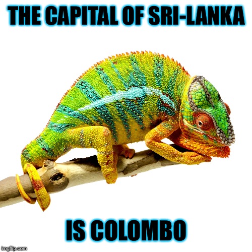 Let karma decide | THE CAPITAL OF SRI-LANKA IS COLOMBO | image tagged in let karma decide | made w/ Imgflip meme maker