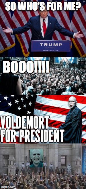 Republican candidates | SO WHO'S FOR ME? BOOO!!!! | image tagged in trump,voldemort,hunger games,memes | made w/ Imgflip meme maker