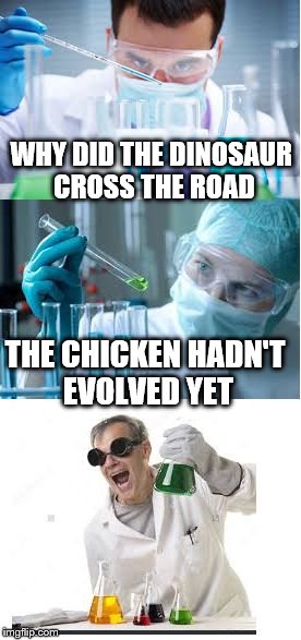 bad pun scientist | WHY DID THE DINOSAUR CROSS THE ROAD; THE CHICKEN HADN'T EVOLVED YET | image tagged in bad pun scientist | made w/ Imgflip meme maker