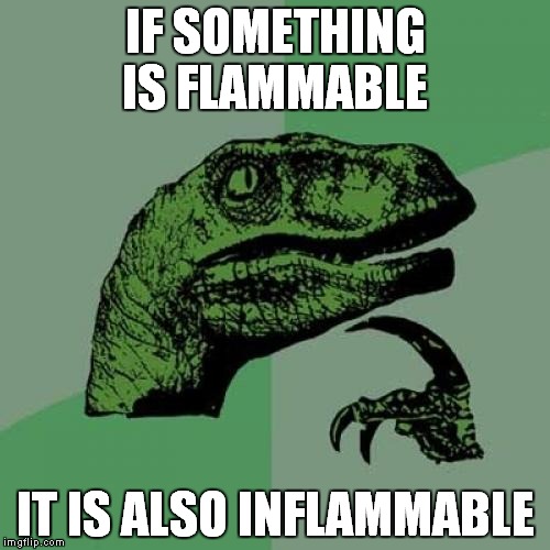 Philosoraptor Meme | IF SOMETHING IS FLAMMABLE; IT IS ALSO INFLAMMABLE | image tagged in memes,philosoraptor | made w/ Imgflip meme maker