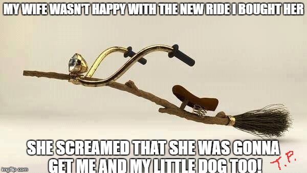 new ride | MY WIFE WASN'T HAPPY WITH THE NEW RIDE I BOUGHT HER; SHE SCREAMED THAT SHE WAS GONNA GET ME AND MY LITTLE DOG TOO! | image tagged in wife,wicked witch,funny memes | made w/ Imgflip meme maker