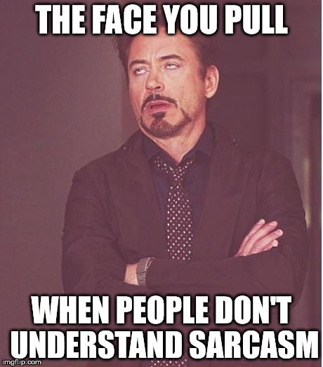 Face You Make Robert Downey Jr Meme | THE FACE YOU PULL; WHEN PEOPLE DON'T UNDERSTAND SARCASM | image tagged in memes,face you make robert downey jr | made w/ Imgflip meme maker