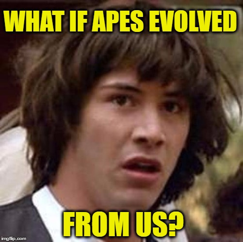 apes the top | WHAT IF APES EVOLVED; FROM US? | image tagged in memes,conspiracy keanu,evolution,monkey,human | made w/ Imgflip meme maker