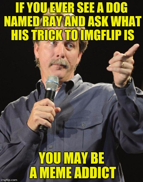 I might've worded this wrong | IF YOU EVER SEE A DOG NAMED RAY AND ASK WHAT HIS TRICK TO IMGFLIP IS; YOU MAY BE A MEME ADDICT | image tagged in jeff foxworthy,memes,raydog | made w/ Imgflip meme maker