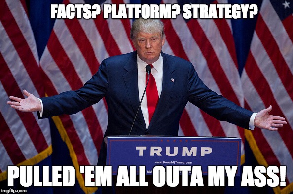 Donald Trump | FACTS? PLATFORM? STRATEGY? PULLED 'EM ALL OUTA MY ASS! | image tagged in donald trump | made w/ Imgflip meme maker