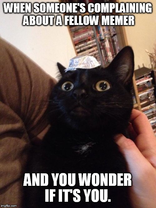 paranoid cat. | WHEN SOMEONE'S COMPLAINING ABOUT A FELLOW MEMER; AND YOU WONDER IF IT'S YOU. | image tagged in paranoid cat | made w/ Imgflip meme maker