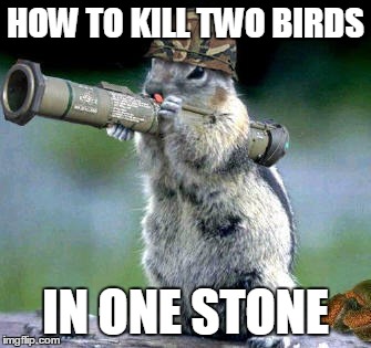 Bazooka Squirrel | HOW TO KILL TWO BIRDS; IN ONE STONE | image tagged in memes,bazooka squirrel | made w/ Imgflip meme maker