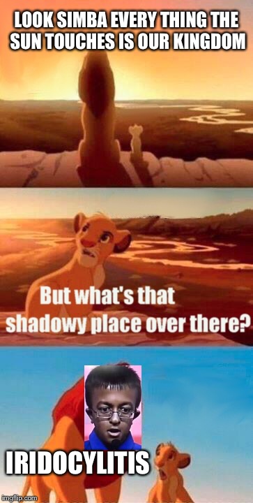 Simba Shadowy Place | LOOK SIMBA EVERY THING THE SUN TOUCHES IS OUR KINGDOM; IRIDOCYLITIS | image tagged in memes,simba shadowy place | made w/ Imgflip meme maker