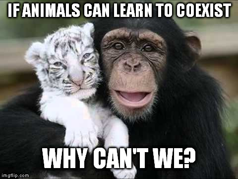 Erase all Isms | IF ANIMALS CAN LEARN TO COEXIST; WHY CAN'T WE? | image tagged in racism,sexism,religion,sexuality,weight | made w/ Imgflip meme maker