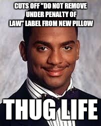 Thug Life | CUTS OFF "DO NOT REMOVE UNDER PENALTY OF LAW" LABEL FROM NEW PILLOW; THUG LIFE | image tagged in thug life | made w/ Imgflip meme maker