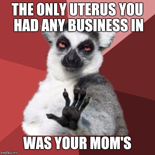 Chill Out Lemur | THE ONLY UTERUS YOU HAD ANY BUSINESS IN; WAS YOUR MOM'S | image tagged in memes,chill out lemur | made w/ Imgflip meme maker