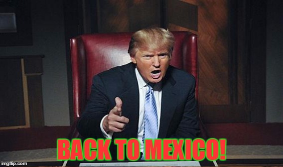 BACK TO MEXICO! | made w/ Imgflip meme maker