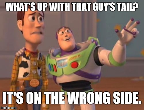 X, X Everywhere Meme | WHAT'S UP WITH THAT GUY'S TAIL? IT'S ON THE WRONG SIDE. | image tagged in memes,x x everywhere | made w/ Imgflip meme maker
