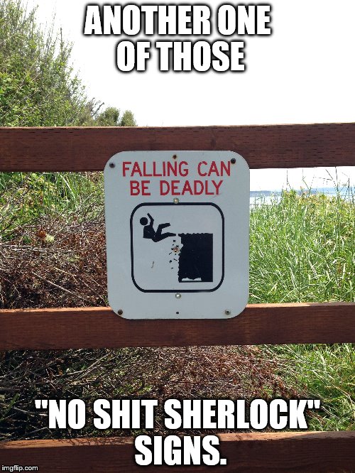 Falling Can Be Deadly | ANOTHER ONE OF THOSE; "NO SHIT SHERLOCK" SIGNS. | image tagged in signs | made w/ Imgflip meme maker