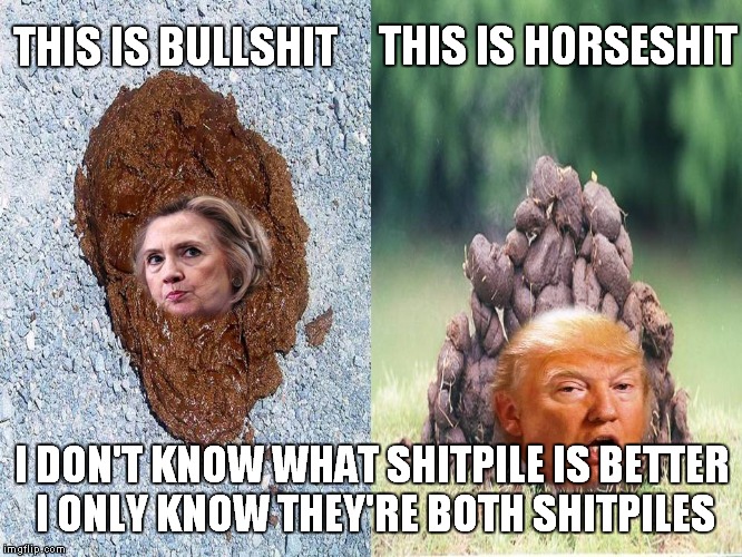 I know it's pretty Shitty but It pays to know your Shit cause it looks like we're heading for Deep Shit | THIS IS HORSESHIT; THIS IS BULLSHIT; I DON'T KNOW WHAT SHITPILE IS BETTER I ONLY KNOW THEY'RE BOTH SHITPILES | image tagged in memes,hillary clinton,donald trump | made w/ Imgflip meme maker