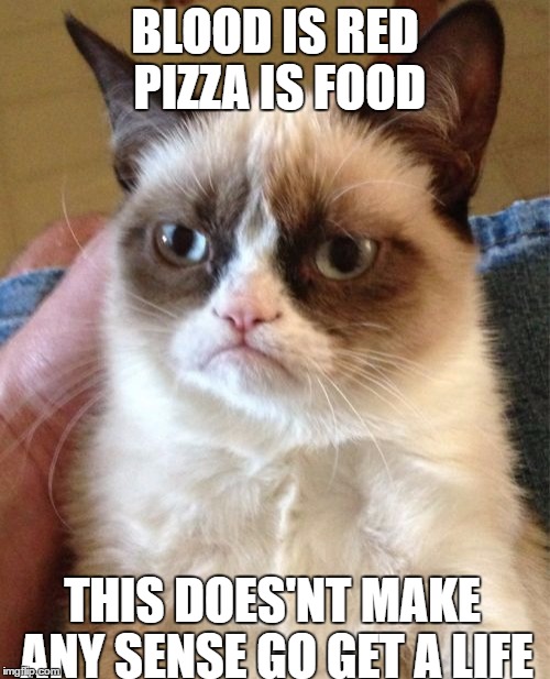 Grumpy Cat | BLOOD IS RED PIZZA IS FOOD; THIS DOES'NT MAKE ANY SENSE GO GET A LIFE | image tagged in memes,grumpy cat | made w/ Imgflip meme maker