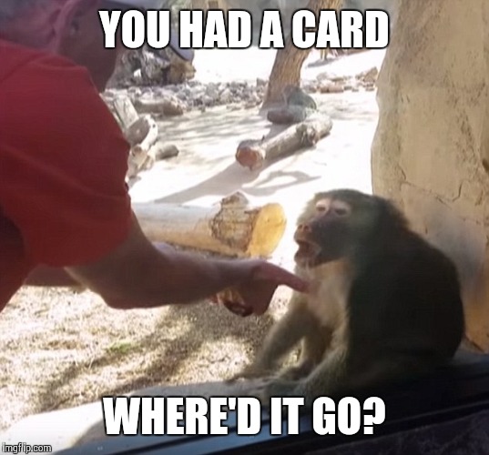 Befuddled Baboon | YOU HAD A CARD; WHERE'D IT GO? | image tagged in befuddled baboon | made w/ Imgflip meme maker
