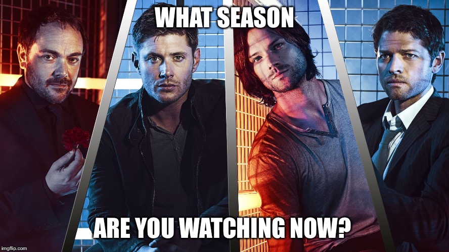 WHAT SEASON; ARE YOU WATCHING NOW? | image tagged in supernatural,tv show | made w/ Imgflip meme maker