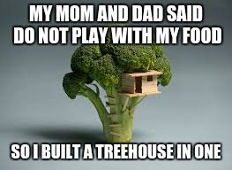 MY MOM AND DAD SAID DO NOT PLAY WITH MY FOOD; SO I BUILT A TREEHOUSE IN ONE | image tagged in brooc house | made w/ Imgflip meme maker