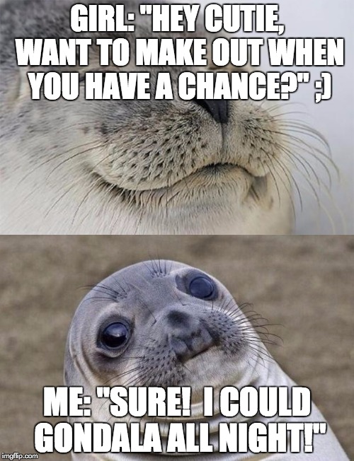 Ah, the intricacies of autocorrect.... | GIRL: "HEY CUTIE, WANT TO MAKE OUT WHEN YOU HAVE A CHANCE?" ;); ME: "SURE!  I COULD GONDALA ALL NIGHT!" | image tagged in awkward moment sealion | made w/ Imgflip meme maker