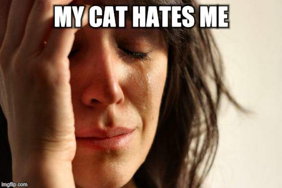 First World Problems Meme | MY CAT HATES ME | image tagged in memes,first world problems | made w/ Imgflip meme maker