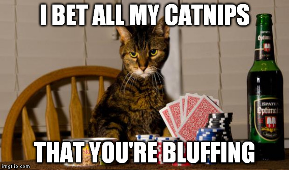 I BET ALL MY CATNIPS; THAT YOU'RE BLUFFING | image tagged in cat,first world problems,catnip | made w/ Imgflip meme maker