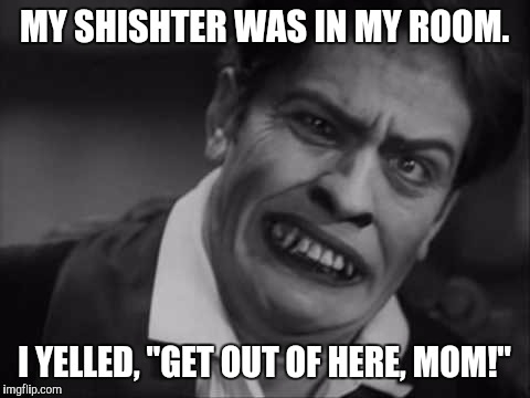 MY SHISHTER WAS IN MY ROOM. I YELLED, "GET OUT OF HERE, MOM!" | made w/ Imgflip meme maker