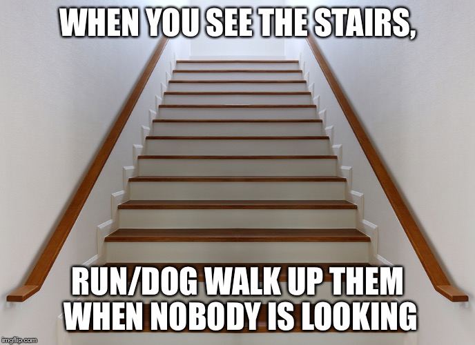 Anybody else do this? | WHEN YOU SEE THE STAIRS, RUN/DOG WALK UP THEM WHEN NOBODY IS LOOKING | image tagged in memes | made w/ Imgflip meme maker
