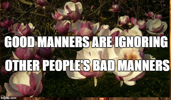 GOOD MANNERS ARE IGNORING; OTHER PEOPLE'S BAD MANNERS | image tagged in good manners | made w/ Imgflip meme maker